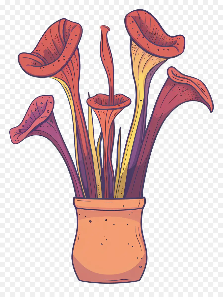 إبريق النبات，البوق الزهور PNG
