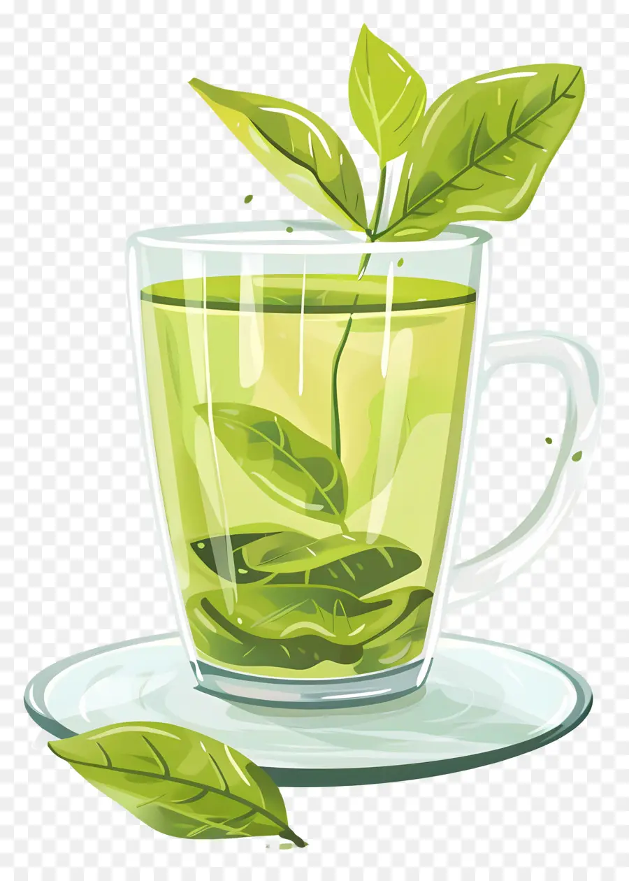 الشاي الأخضر，أوراق الشاي PNG
