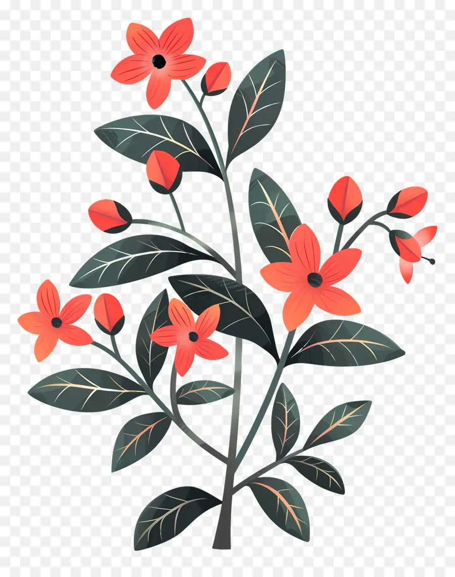 زهور البرتقال，نبات الورق الأخضر PNG