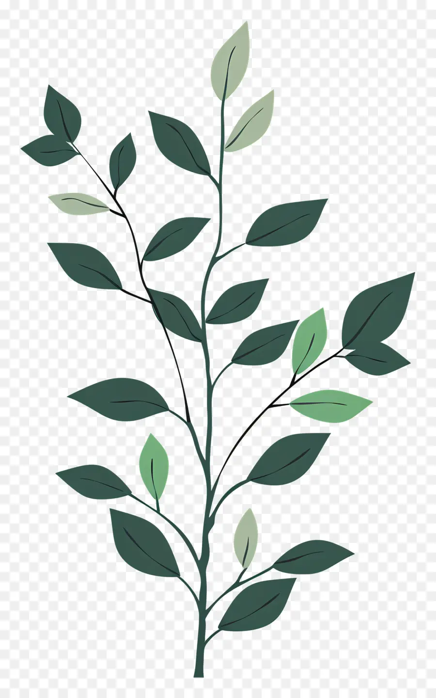 الجذعية النباتية，شجرة PNG
