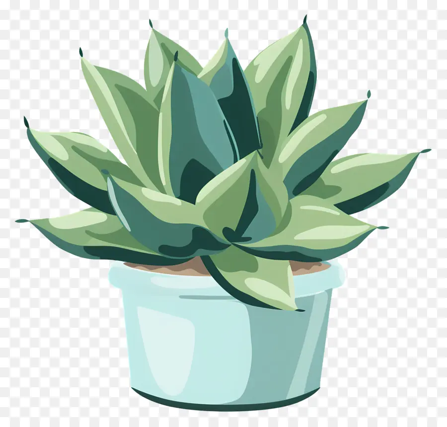 نبات عصاري，ل Houseplant PNG