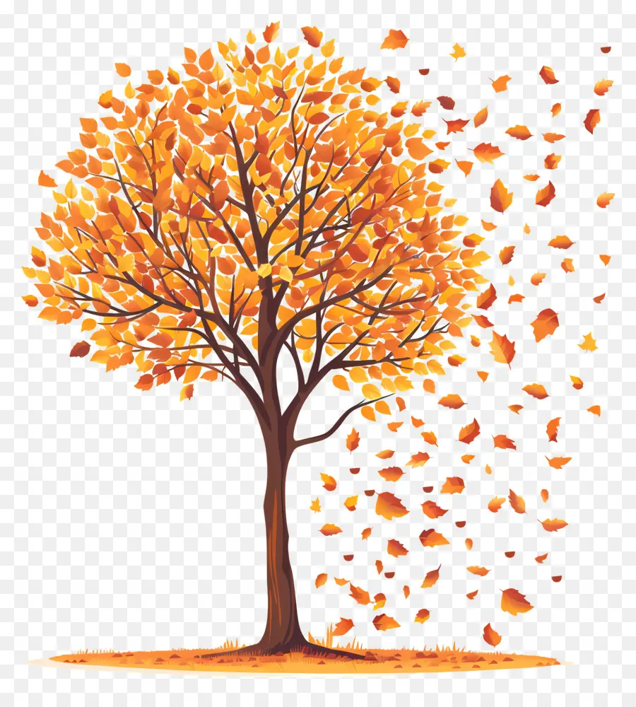 شجرة الخريف，أوراقها PNG