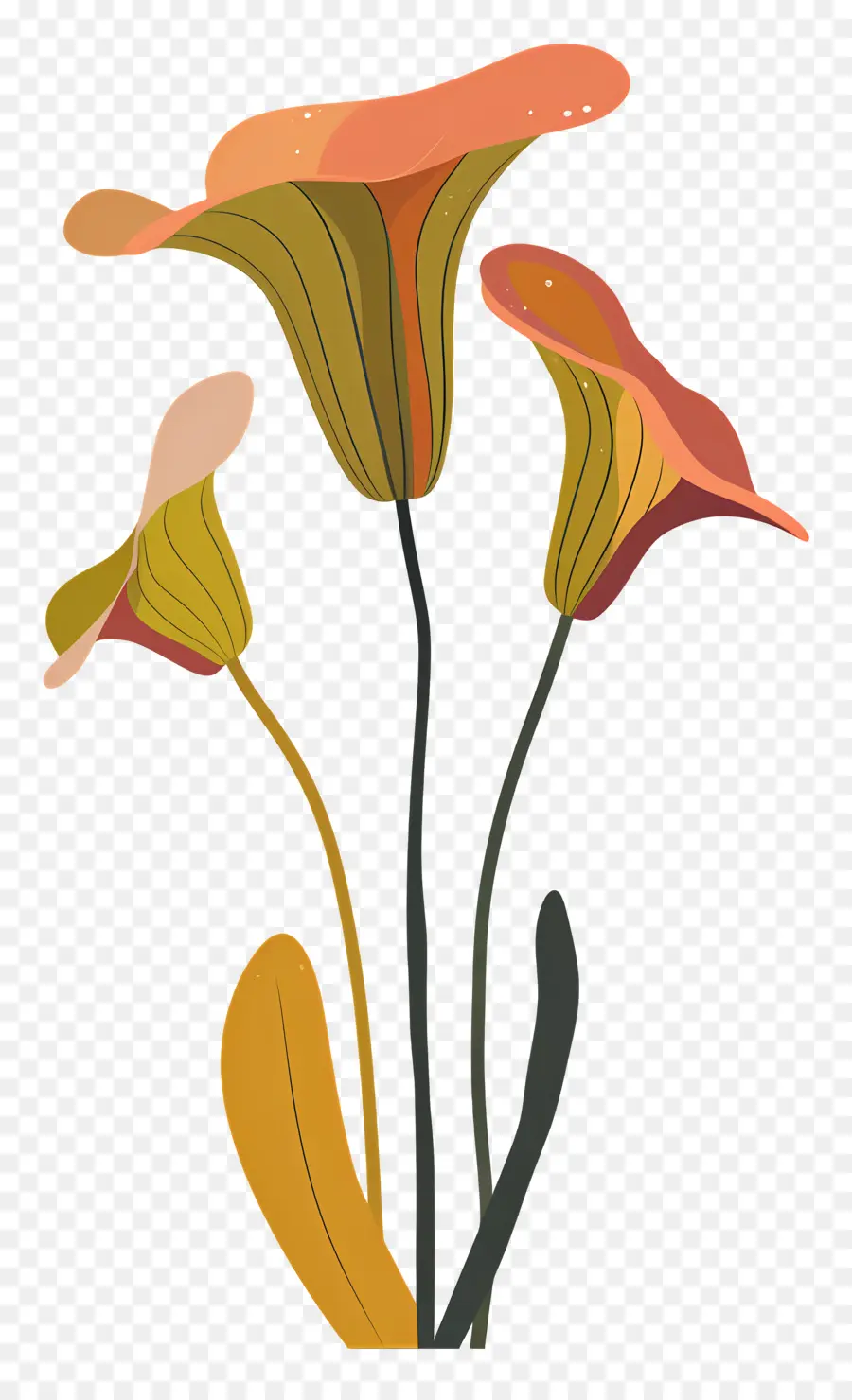 إبريق النبات，زهور البرتقال PNG