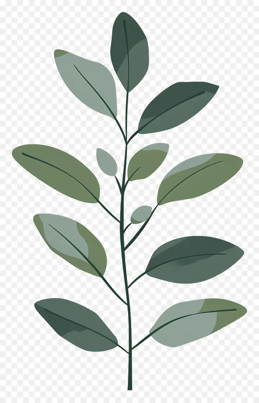 الجذعية النباتية，النبات الأخضر الورقية PNG