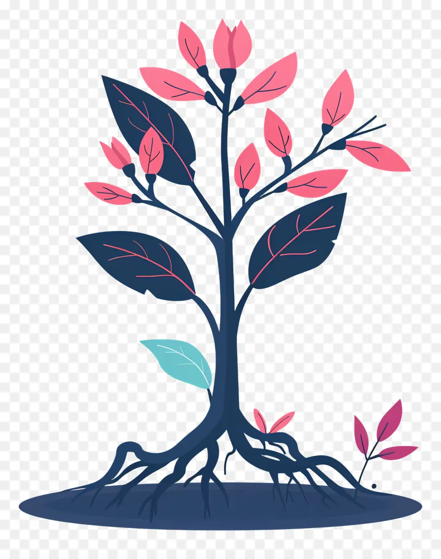 جذر النبات，شجرة PNG