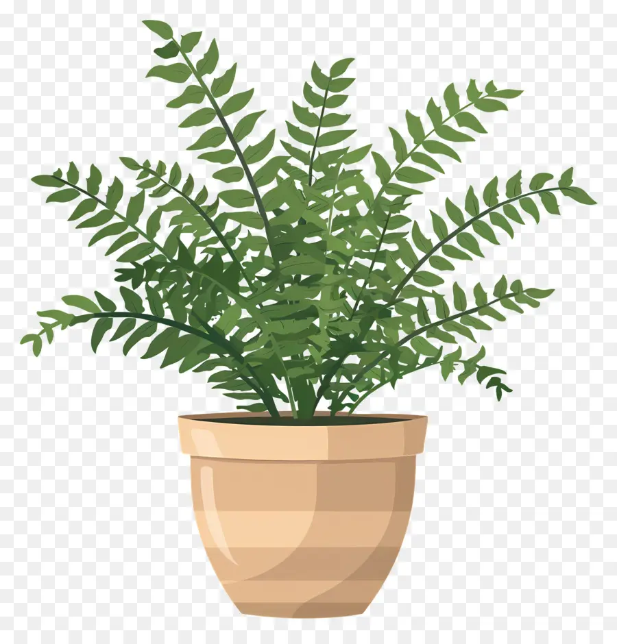 نبات السرخس，محفوظ بوعاء النباتات PNG