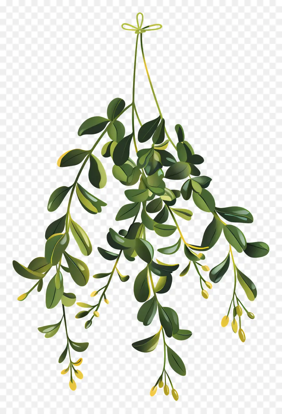 معلقة الهدال，نبات الورق PNG