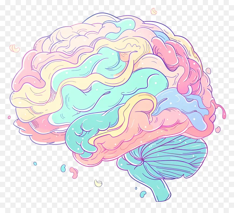 الكرتون الدماغ，الدماغ البشري PNG