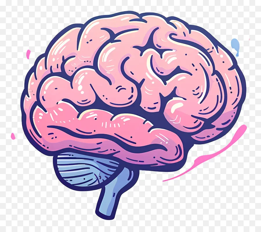 الكرتون الدماغ，الدماغ PNG