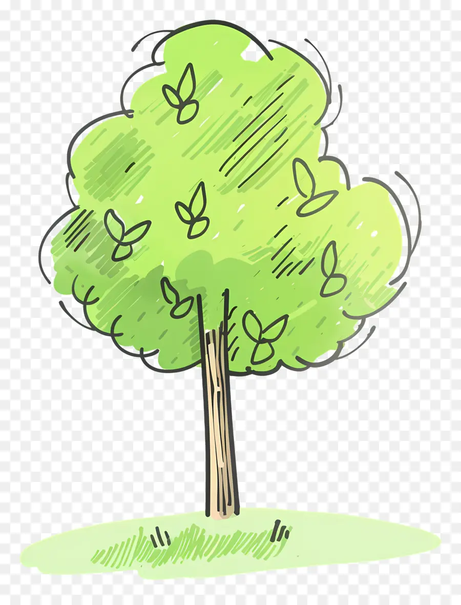 الكرتون شجرة，شجرة خضراء PNG