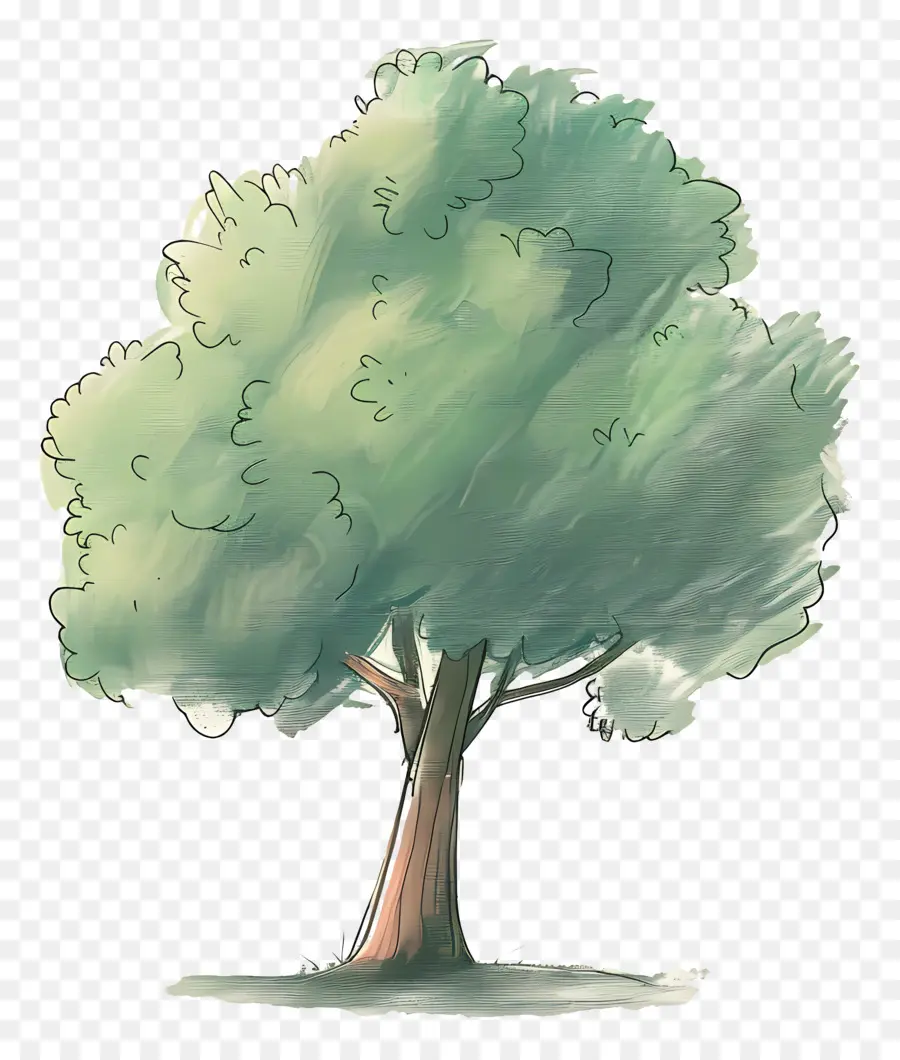 الكرتون شجرة，شجرة PNG
