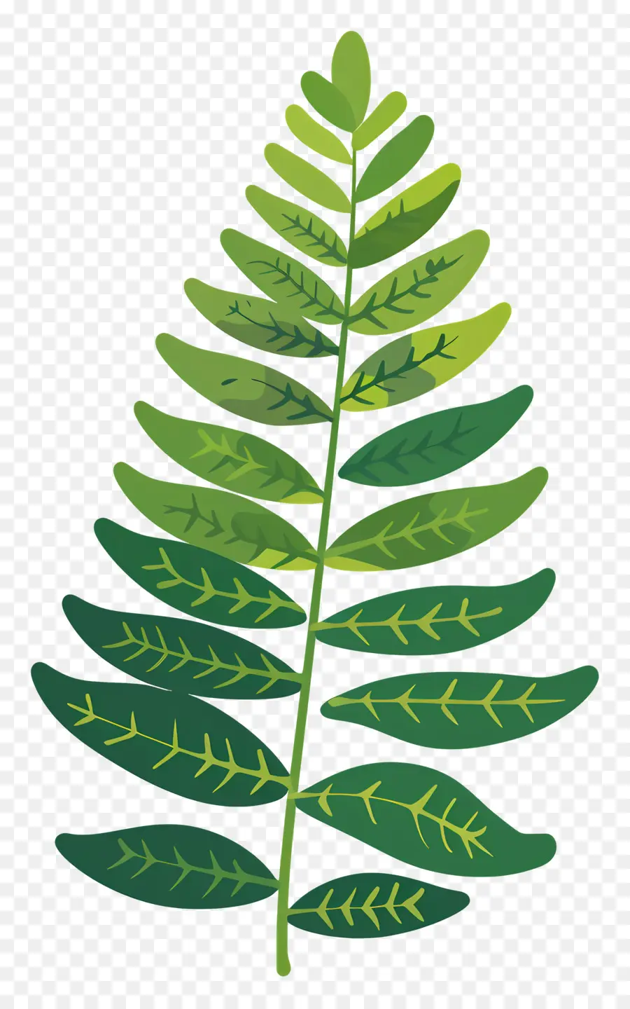 السرخس نبات，النباتات الخضراء PNG