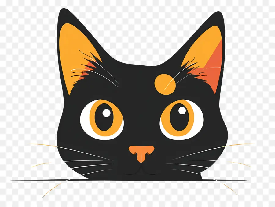 قطة النظر，القط الأسود PNG