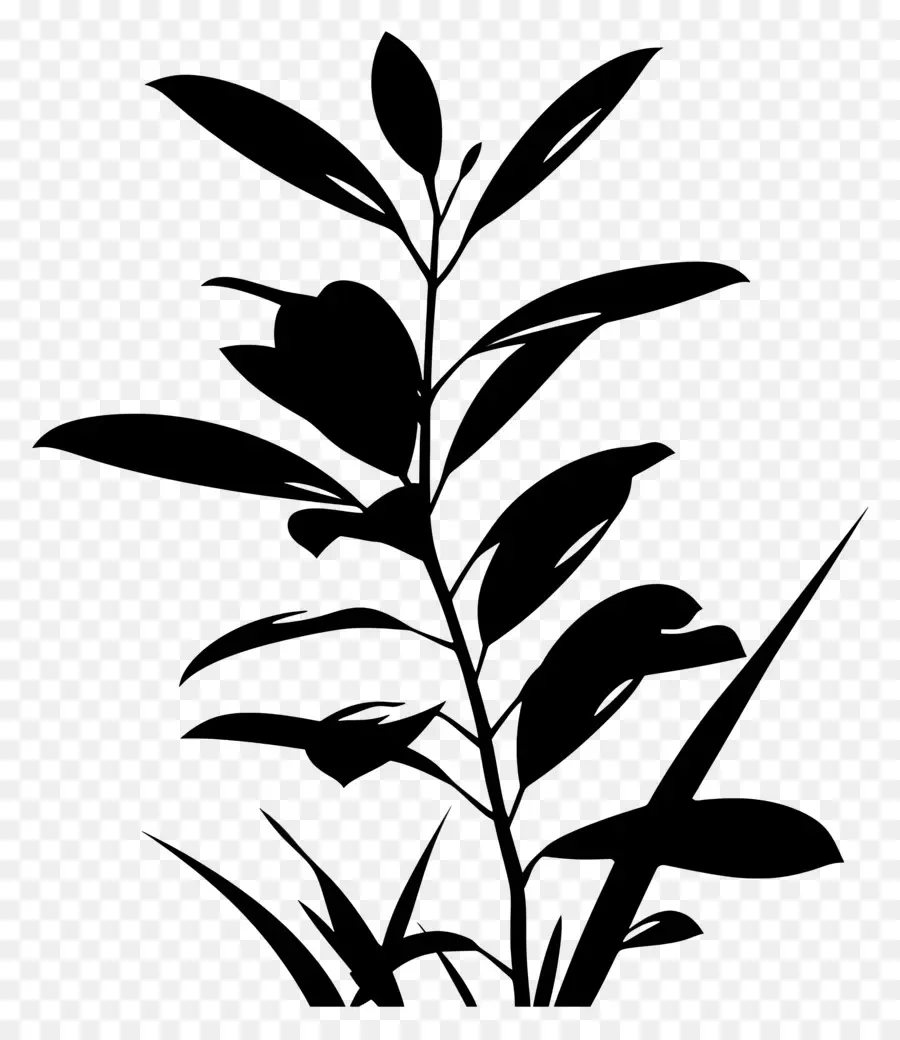 صورة ظلية نباتية，ورقة PNG