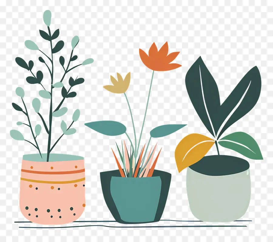 النباتات，نباتات الأصص PNG