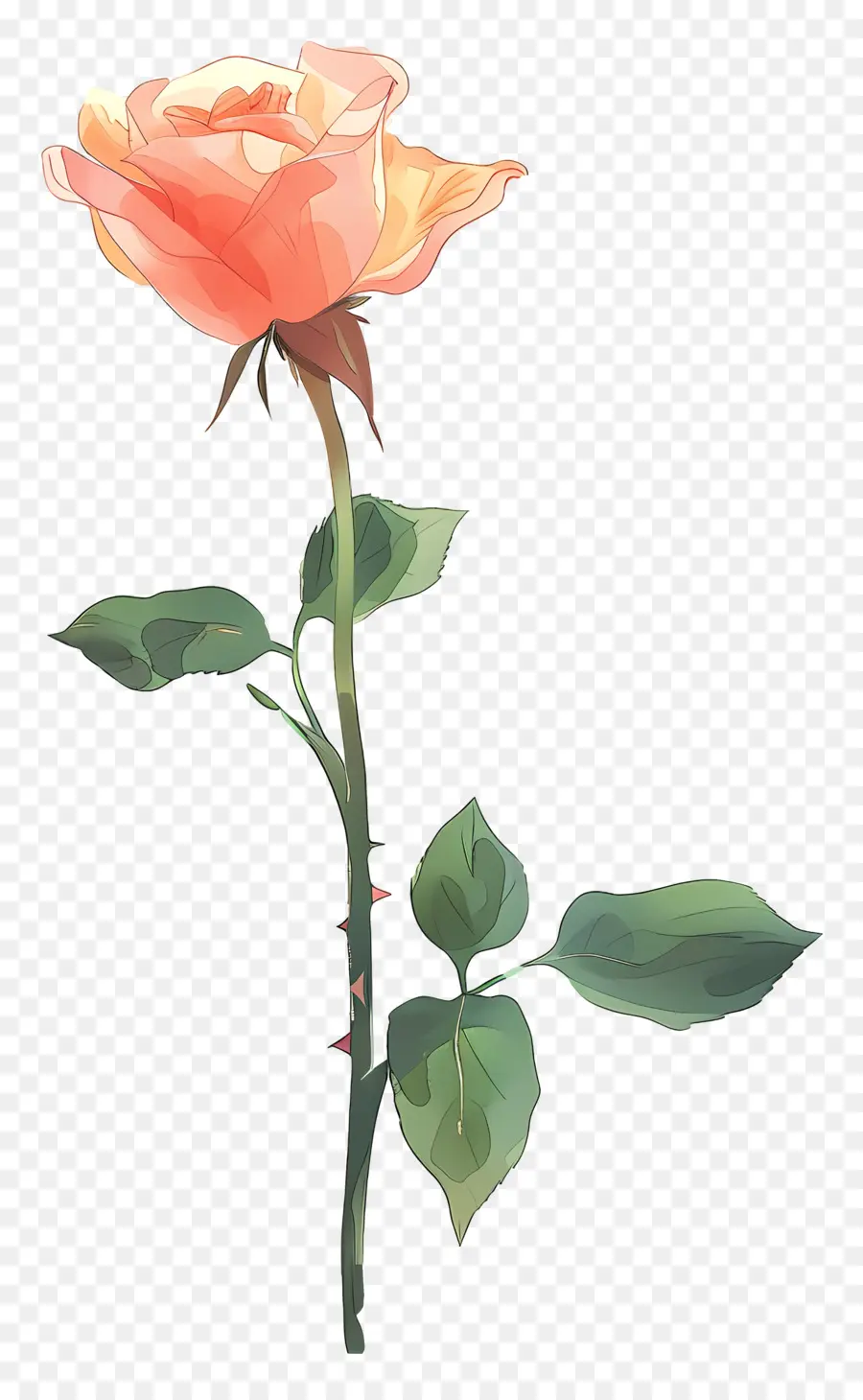 وردة واحدة，الوردي روز PNG