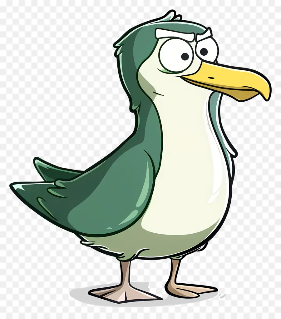 الكرتون النورس，الأخضر الطيور PNG