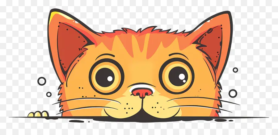 قطة النظر，القط البرتقالي PNG