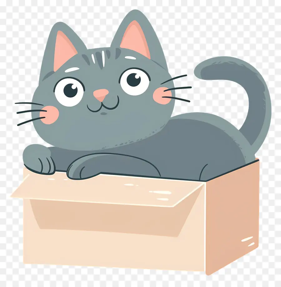 القط في صندوق，القط الرمادي PNG