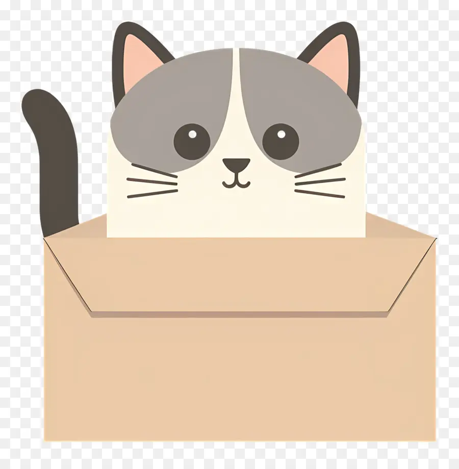 القط في صندوق，القط PNG