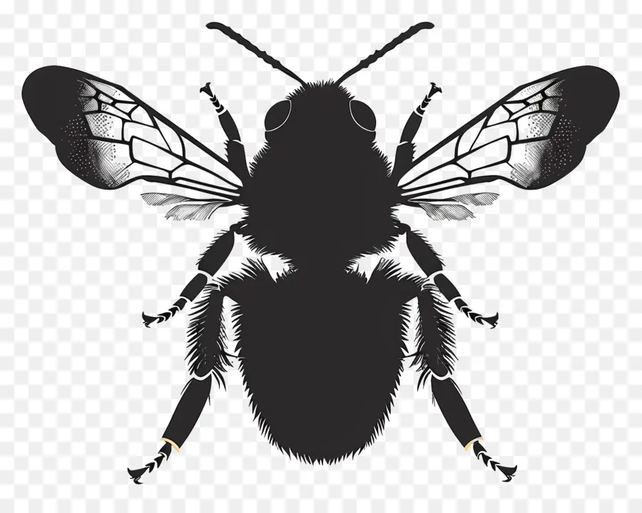 النحل خيال，النحل PNG