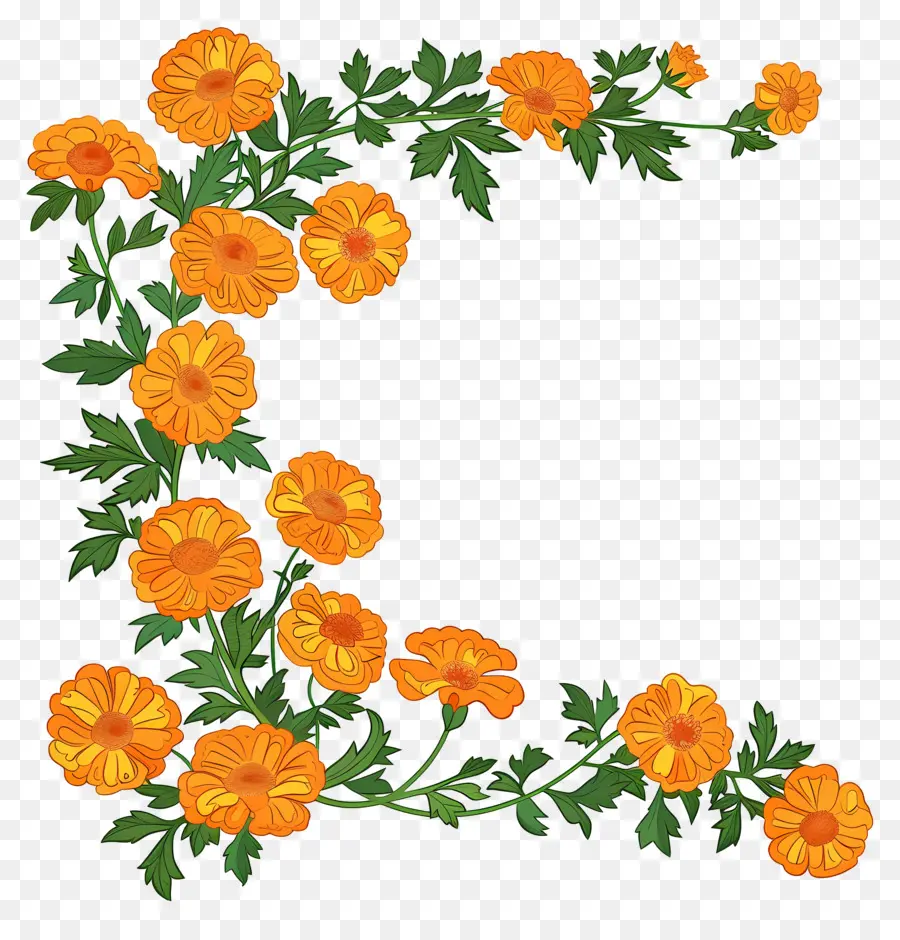 Marigold Garland，زهور البرتقال PNG