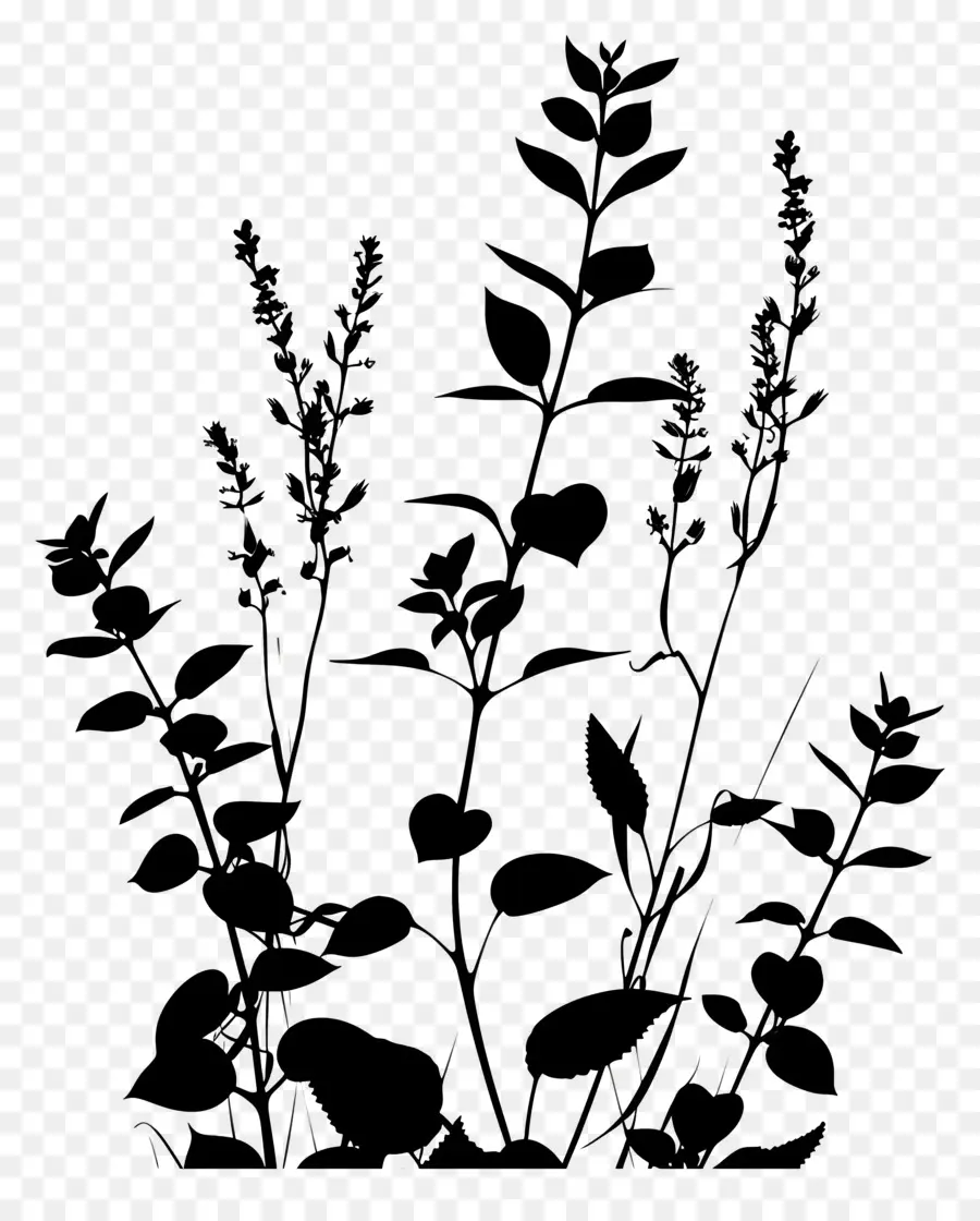 صورة ظلية نباتية，نباتات طويلة PNG