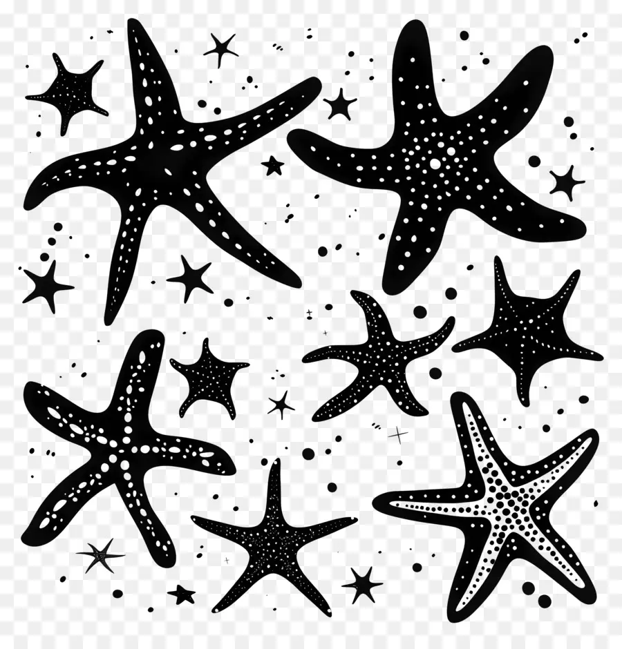 صورة ظلية نجم البحر，النجوم PNG