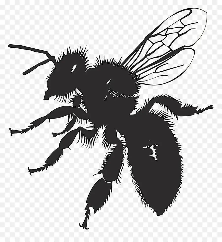 النحل خيال，عسل النحل PNG
