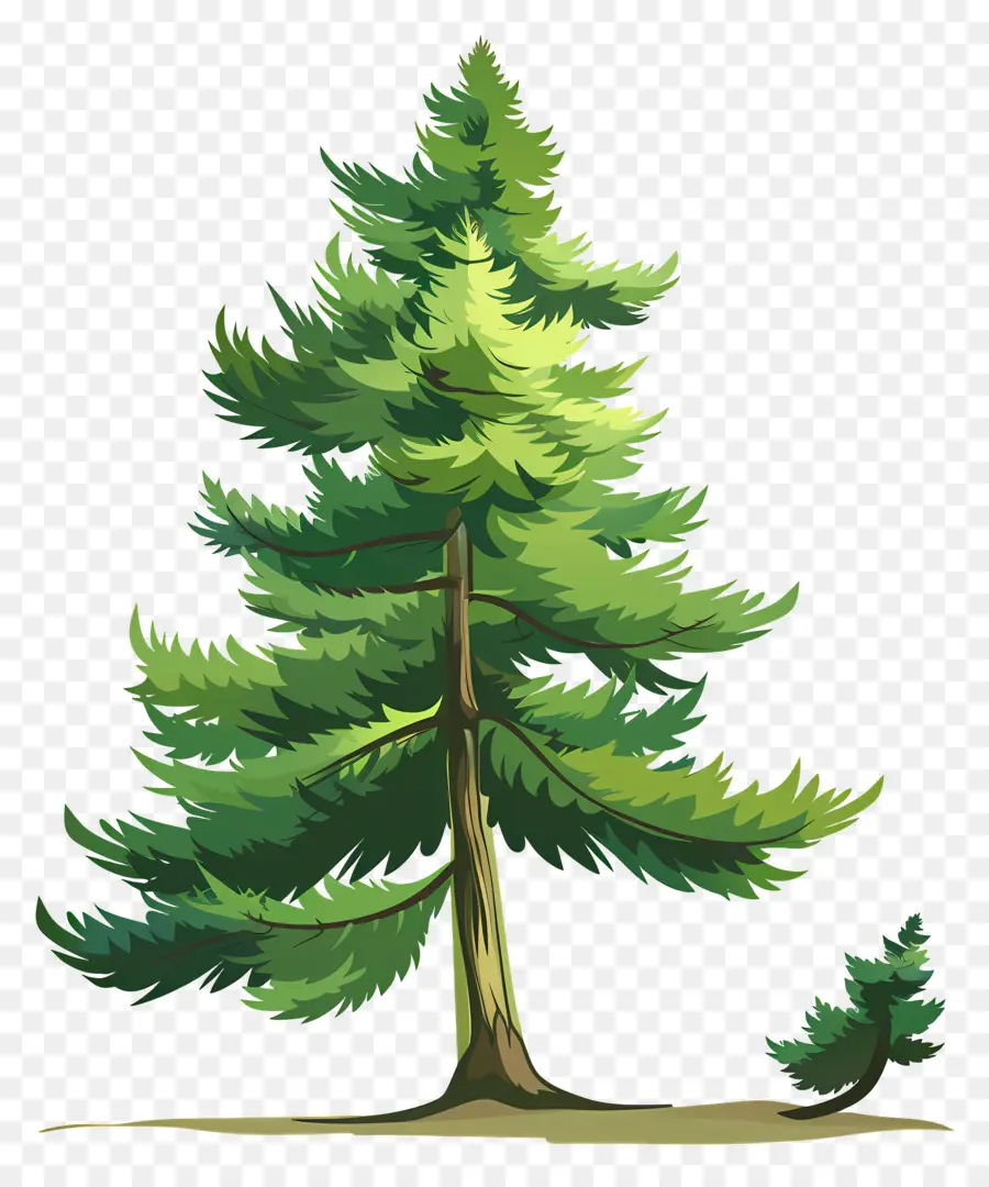 شجرة الصنوبر خيال，شجرة PNG