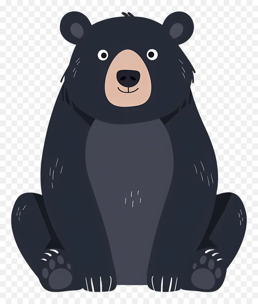 الدب，الدب الأسود PNG