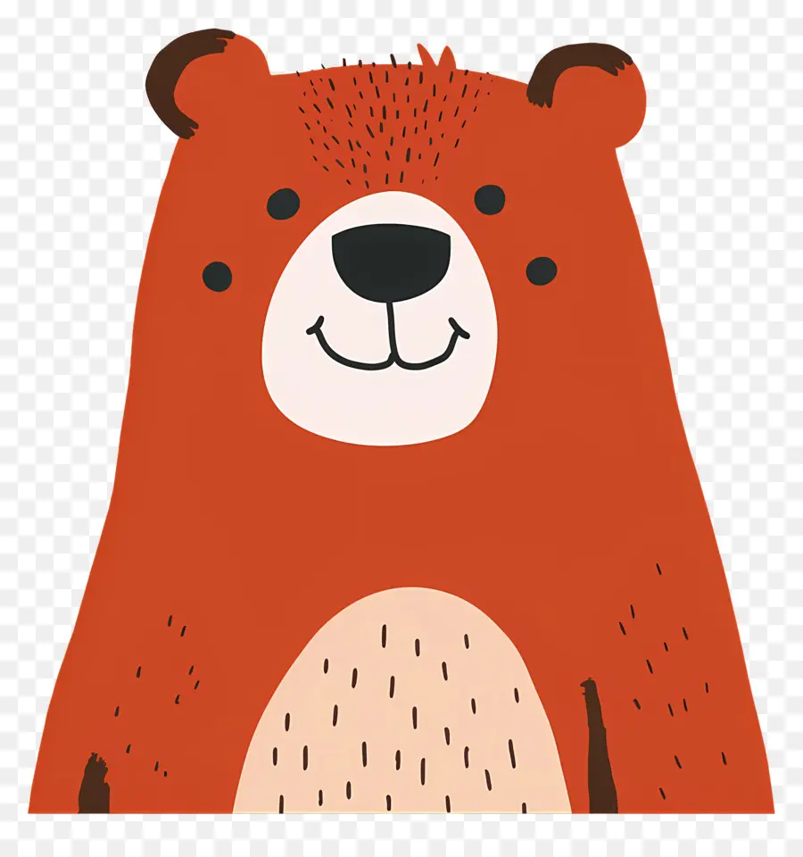 الدب，الكرتون الدب PNG