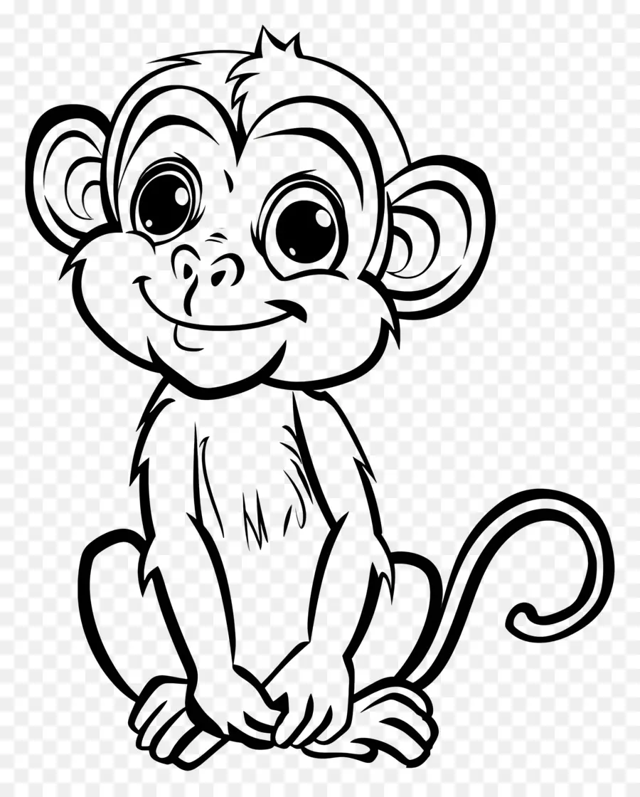 القرد，يبتسم PNG