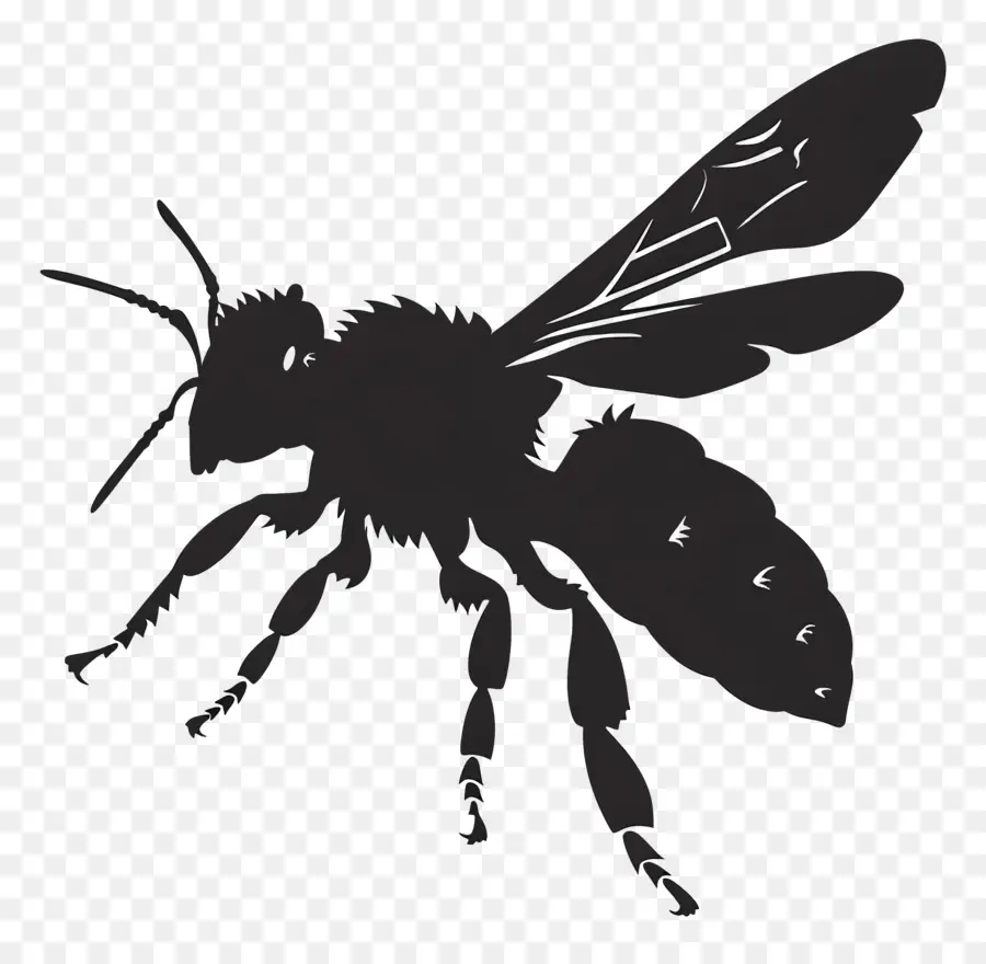النحل خيال，النحل PNG