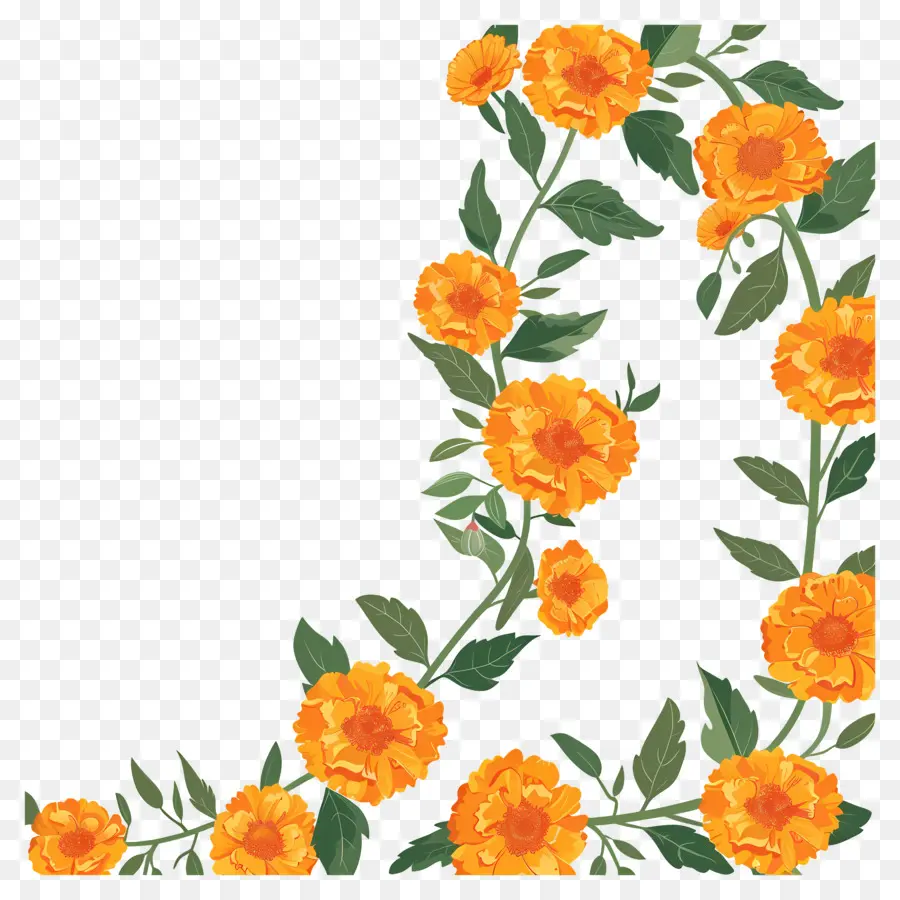 Marigold Garland，زهرة PNG