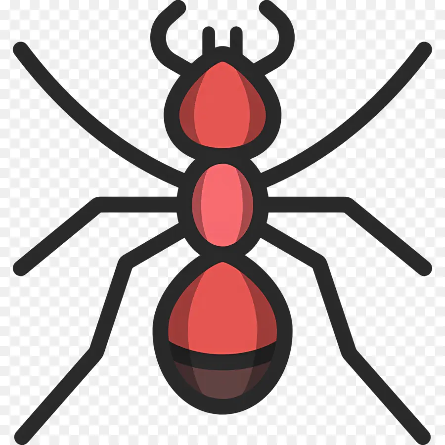 النمل，الأحمر PNG