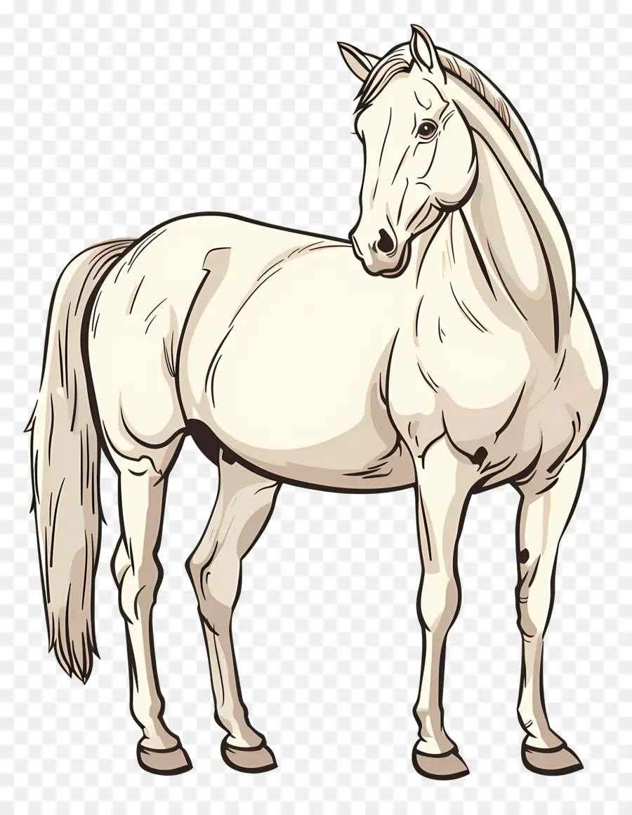 الحصان，الحصان الأبيض PNG