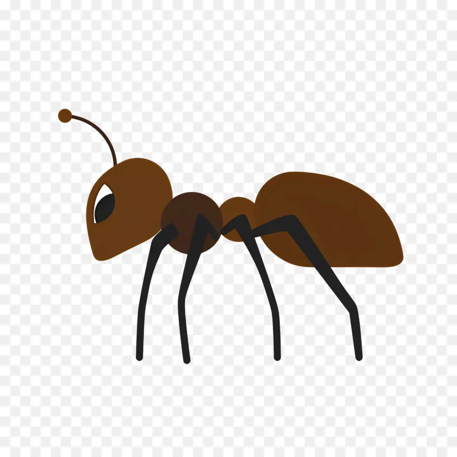 النمل，كارتون النمل PNG