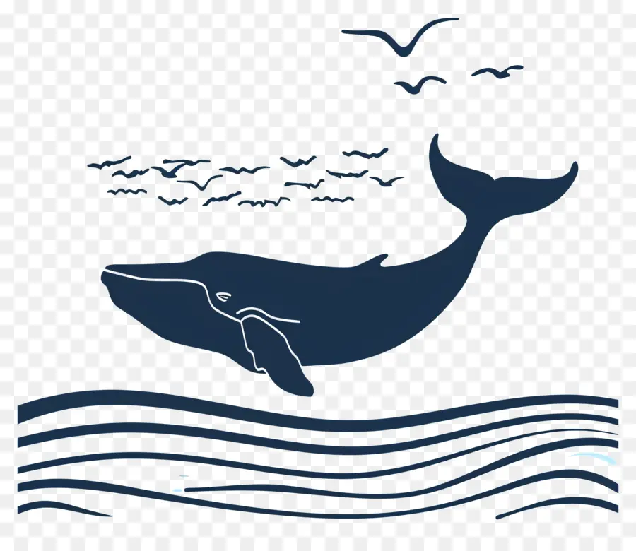 مشاهدة الحيتان，الحوت الأزرق PNG