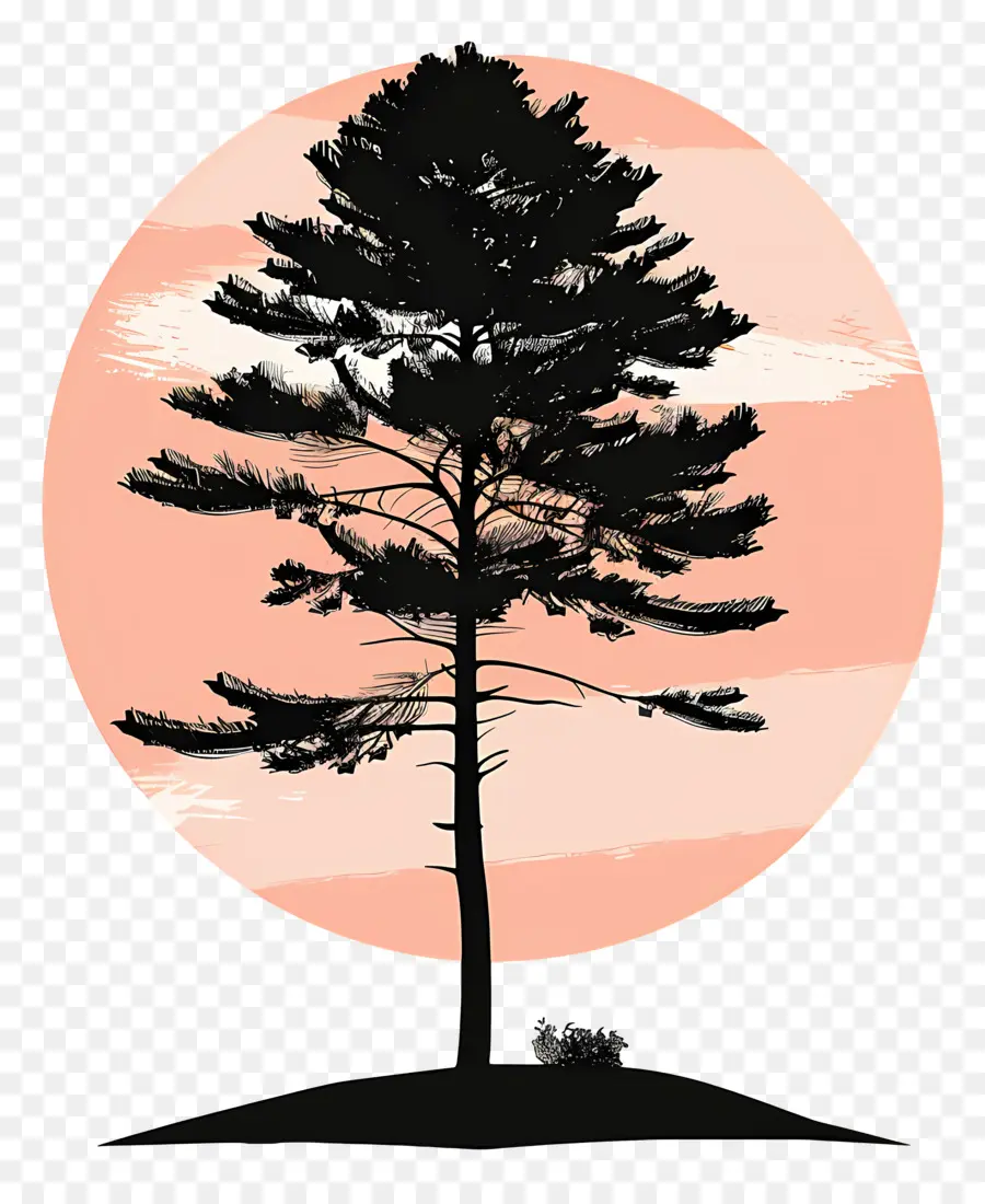 شجرة الصنوبر خيال，شجرة الصنوبر PNG