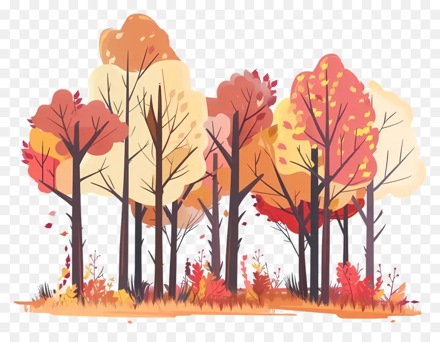 الغابات الخريف，ألوان الخريف PNG