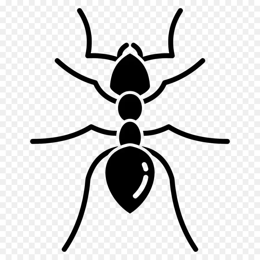 النمل，ضبابية PNG