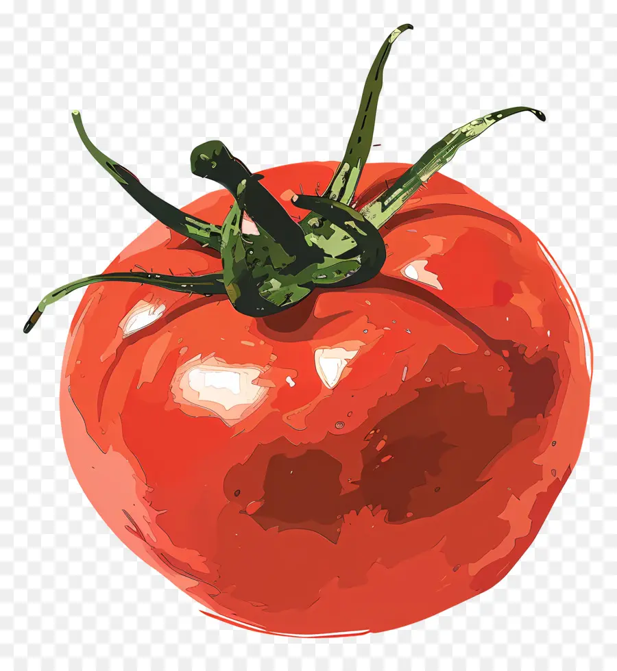الطماطم，الطبخ PNG