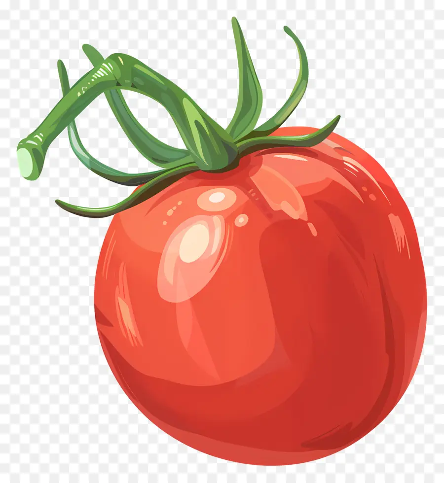 الطماطم，الطماطم الحمراء PNG