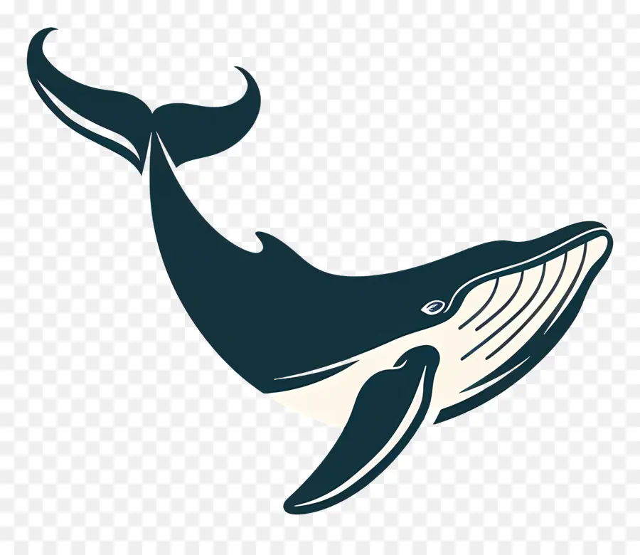 مشاهدة الحيتان，الحوت الأحدب PNG