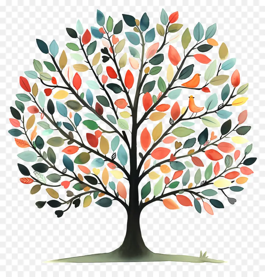 شجرة الحياة，شجرة ملونة PNG