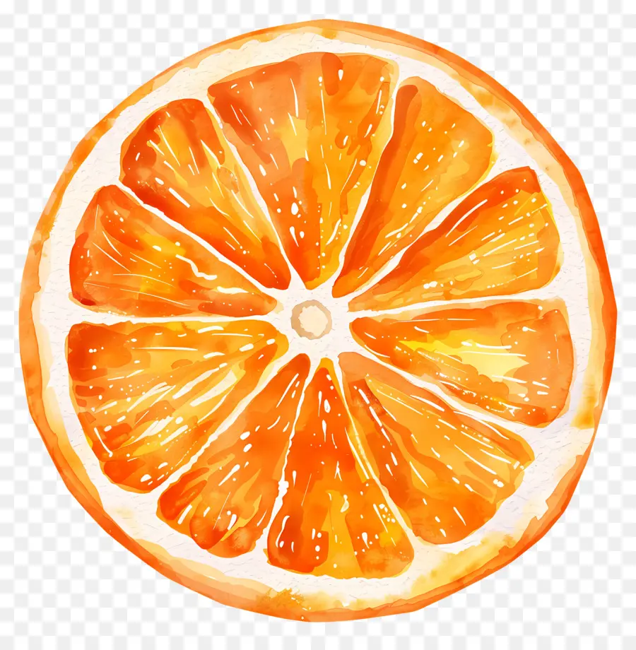 شريحة البرتقال，البرتقال PNG