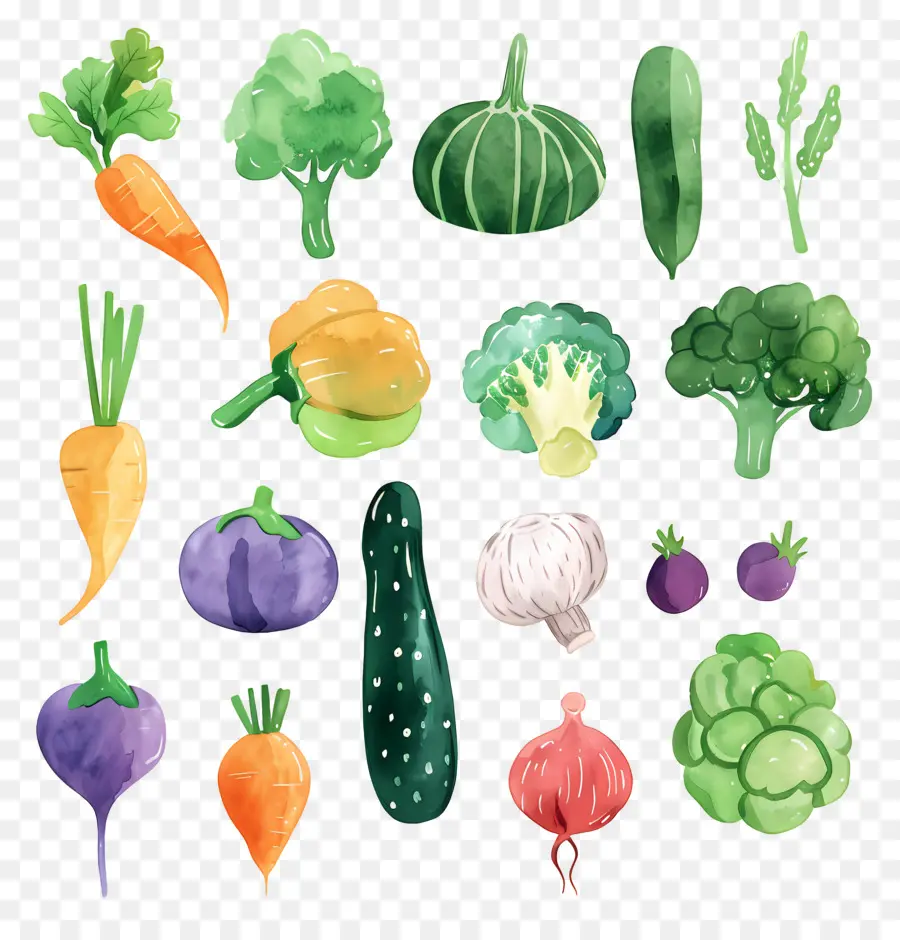 الخضروات，الرسوم التوضيحية بالألوان المائية PNG