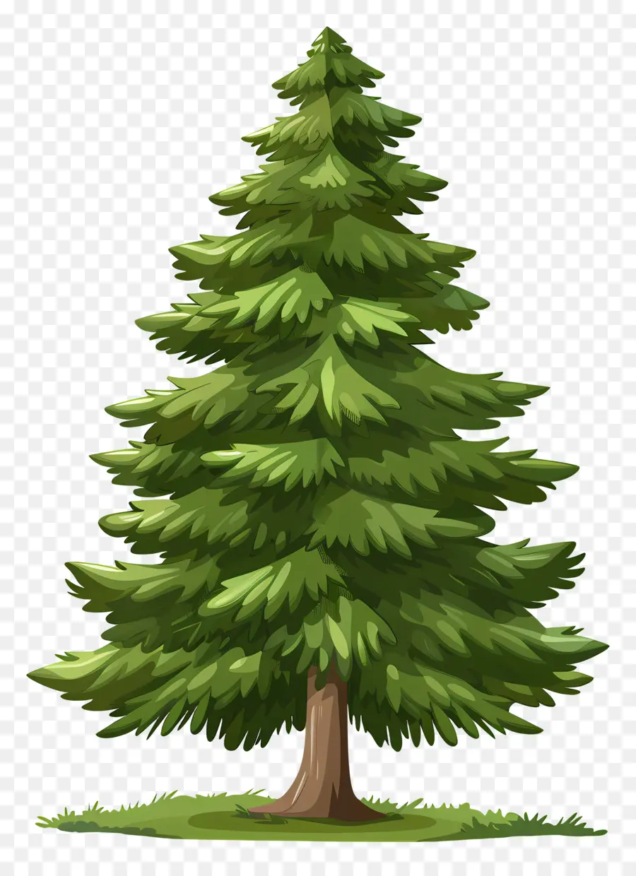 شجرة الصنوبر，الأخضر شجرة الصنوبر PNG