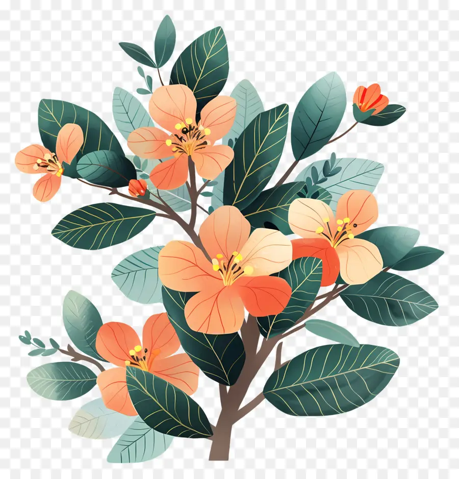 شجيرة زهرة，زهور البرتقال PNG